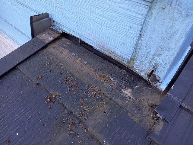 下屋水切り板金撤去